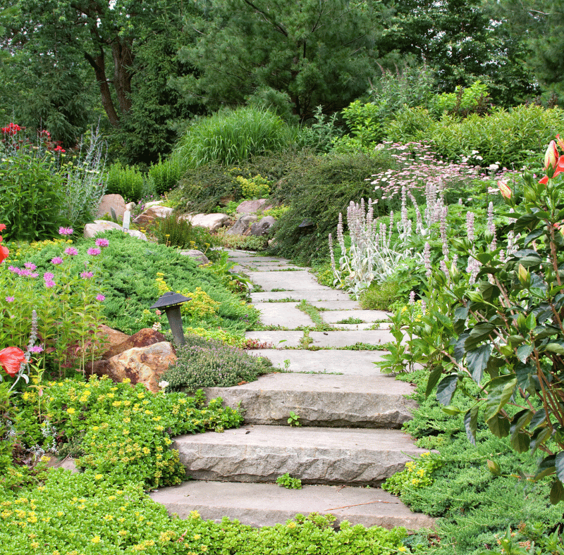 Breathtaking Cottage Garden Inspiration (23 Ideas to Elevate Your Garden this Spring)