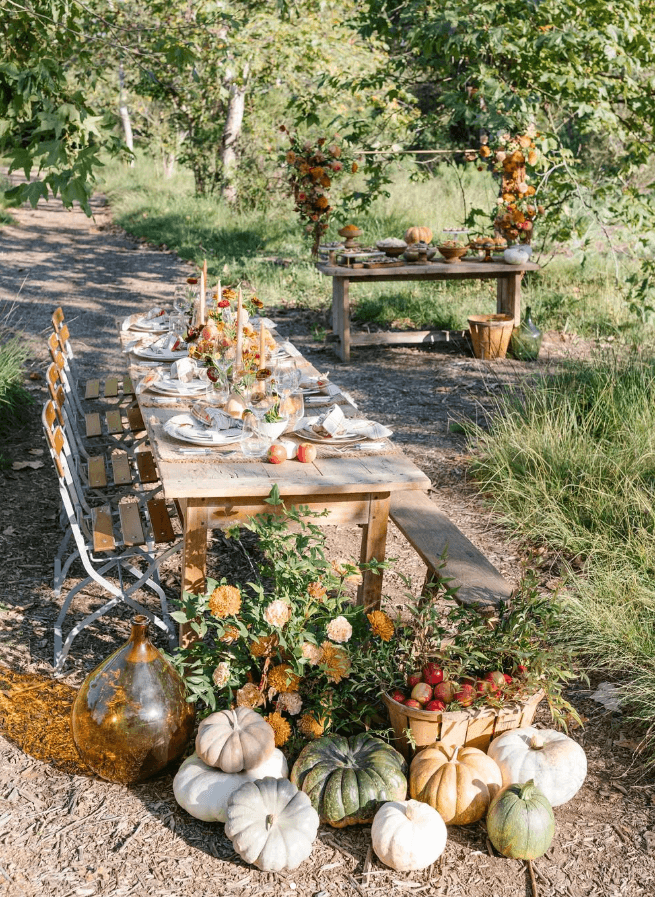 outdoor dinner party ideas